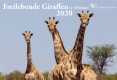 Vorschau
giraffen_2020.jpg